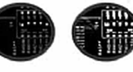 Binary image example